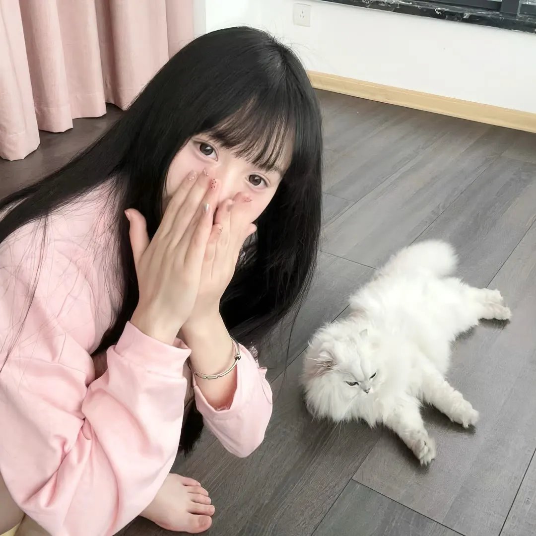 贤妻扶我青云志